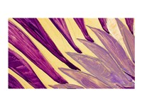 LG 65WM960H0LD 65inch OLED UHD Hotel TV