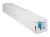 Bild von HP Premium instant-dry gloss photo inkjet 260g/m2 1067mm x 30.5m 1 roll 1-pack