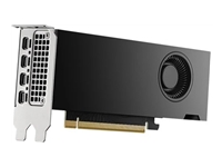 Bild von DELL NVIDIA RTX 2000 Ada Generation 16GB GDDR6 half height PCIe 4.0x8 4 mDP Graphics Card