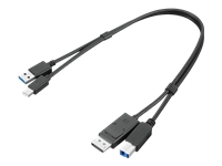 Bild von LENOVO ThinkStation mDP USB-A 3.0 to DP USB-B 3.0 Dual Head Cable