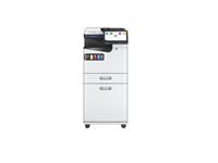 Bild von EPSON AM-C400/550 High Cabinet