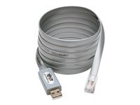Bild von EATON TRIPPLITE USB-A to RJ45 Serial Rollover Cable M/M Cisco Compatible 250 Kbps 6 ft. 1,83 m grey