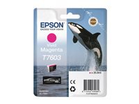 Bild von EPSON T7603 ink cartridge vivid magenta high capacity 25 9ml 1356 pages 1-pack