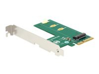 Bild von DELOCK PCI Express x4 Karte > 1 x intern NVMe M.2 Key M - Querformat