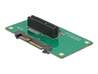 Bild von DELOCK Adapter U.2 SFF-8639 > PCIe x4 mit Befestigungsplatte