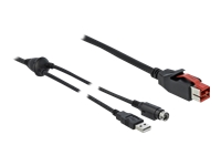 Bild von DELOCK PoweredUSB Kabel Stecker 24V zu USB Typ-A Stecker + mini-DIN 3 Pin Stecker 3m für POS Drucker und Terminals