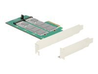 Bild von DELOCK PCI Express Karte > 2 x intern M.2 Key B mit RAID - Low Profile Form Faktor