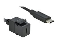 Bild von DELOCK Keystone Modul USB 3.0 C Buchse > USB 3.0 C Stecker mit Kabel