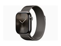 APPLE WATCH SERIES 10 GPS + CELLULAR 42MM SLATE TITANIUM CASE WITH SLATE MILANESE LOOP