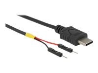 Bild von DELOCK USB Stromkabel Typ-C auf 2 x Pfostenstecker einzeln Strom 20cm