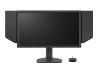 BENQ ZOWIE XL2586X+ - 600Hz |