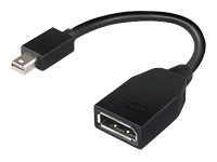 Bild von LENOVO Mini-DisplayPort auf DisplayPort-Adapter