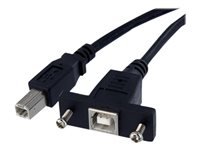 Bild von STARTECH.COM 30 cm USB B auf B Kabel zur Slotbelch Montage – Buchse/Stecker