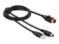 Bild von DELOCK PoweredUSB Kabel Stecker 24V zu USB Typ-A Stecker + mini-DIN 3 Pin Stecker 4m für POS Drucker und Terminals