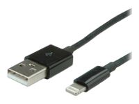 Bild von VALUE 8pin auf USB Ladeund Synchro Kabel  1m