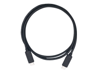 Bild von QNAP CAB-U310G10MCC USB 3.1 Gen2 10G 1.0m(3.3ft) Type-C to Type-C cable