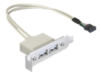 Bild von DELOCK Slotblech - USB 2.0 2xPort Low Profile