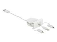 Bild von DELOCK Easy 45 Modul USB 2.0 3 in 1 Aufrollkabel USB Typ-A zu USB-C Micro USB und Lightning weiss