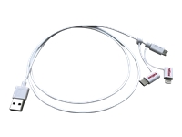 Bild von ROLINE USB 2.0 Sync- und Ladekabel Typ A - Typ C / 8-Pin / USB MicroB weiss 1,0 m