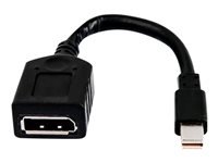 Bild von HP Single miniDP-to-DP Adapter Cable