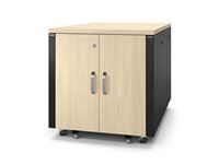 APC NetShelter Soundproof Server Rack 12