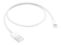 Bild von APPLE Lightning auf USB Kabel (0.5 m)