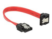 Bild von DELOCK Kabel SATA 6 Gb/s Stecker gerade> SATA Stecker unten 10 cm rot Metall