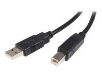 Bild von STARTECH.COM 50cm USB 2.0 A auf B Kabel - St/St