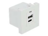 Bild von DELOCK Easy 45 USB Ladeportmodul 1xUSB Typ-A + 1xUSB Type-C