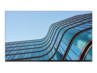 LENOVO ThinkVision E55 LFD 54.6inch UHD