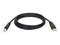 Bild von EATON TRIPPLITE USB 2.0 A/B Cable M/M 15ft. 4,57m