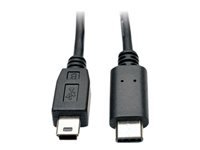 Bild von EATON TRIPPLITE USB 5-Pin Mini-B to USB-C Cable - USB 2.0 m/M 6ft. 1,83m