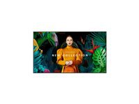 SAMSUNG QH98C 98inch UHD/4K 16:9 LED