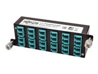 Bild von EATON TRIPPLITE 10GbE Pass-Through Cassette - x12 LC Duplex