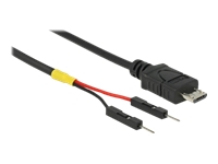 Bild von DELOCK USB Stromkabel micro-B auf 2 x Pfostenstecker einzeln Strom 30cm