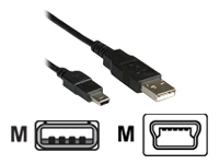 Bild von ROLINE USB Kabel A / 5pin Mini 3m HighSpeedUSB TypA schwarz