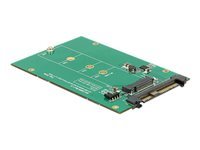 Bild von DELOCK Konverter U.2 SFF-8639 > M.2 NGFF NVMe Key M