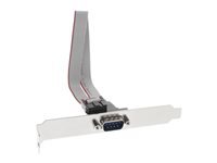 Bild von INLINE Serielles Slotblech 9-pol Stecker an 10-pol Buchsenleiste 1:1 0,25m