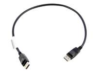 Bild von LENOVO 0.5 Meter DisplayPort to DisplayPort Cable