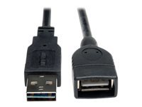 Bild von EATON TRIPPLITE Universal Reversible USB 2.0 Extension Cable Reversible A to A M/F Black 10ft. 3,05m