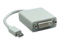 Bild von TECHLY Adapter Mini DisplayPort Stecker auf  DVI-I Dual Link 24 + 5-polige Buchse weiss