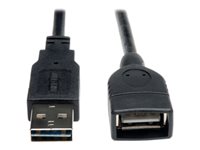 Bild von EATON TRIPPLITE Universal Reversible USB 2.0 Extension Cable Reversible A to A M/F 1ft. 0,31m