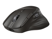 HP Ultra-Fast Scroll Wireless Mouse 785M