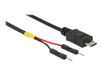 Bild von DELOCK USB Stromkabel micro-B auf 2 x Pfostenstecker einzeln Strom 10cm