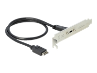 Bild von DELOCK Slotblech mit 1 x USB Type-C Port