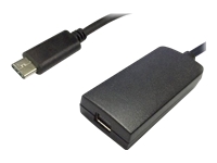 Bild von VALUE Display Adapter USB-C - Mini DisplayPort v1.2 schwarz
