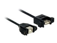 Bild von DELOCK Kabel USB 2.0 B Buchse zum Einbau > USB 2.0 A Buchse zum Einbau 0,25 m