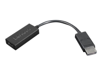 Bild von LENOVO DisplayPort to HDMI2.0b Cable Adapter