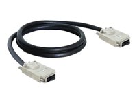 Bild von DELOCK Kabel Infiniband - Infiniband mit Schrauben SFF 8470 1m