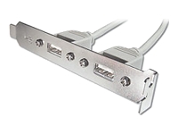 Bild von ASSMANN USB Slotblechkabel 2x Typ A - 2x5pin IDC Bu/Bu 0,25m USB 2.0 kompatibel be